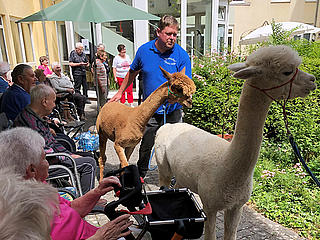 Alpaka-Walk im Alten- und Pflegeheim St. Martin Ochtendung